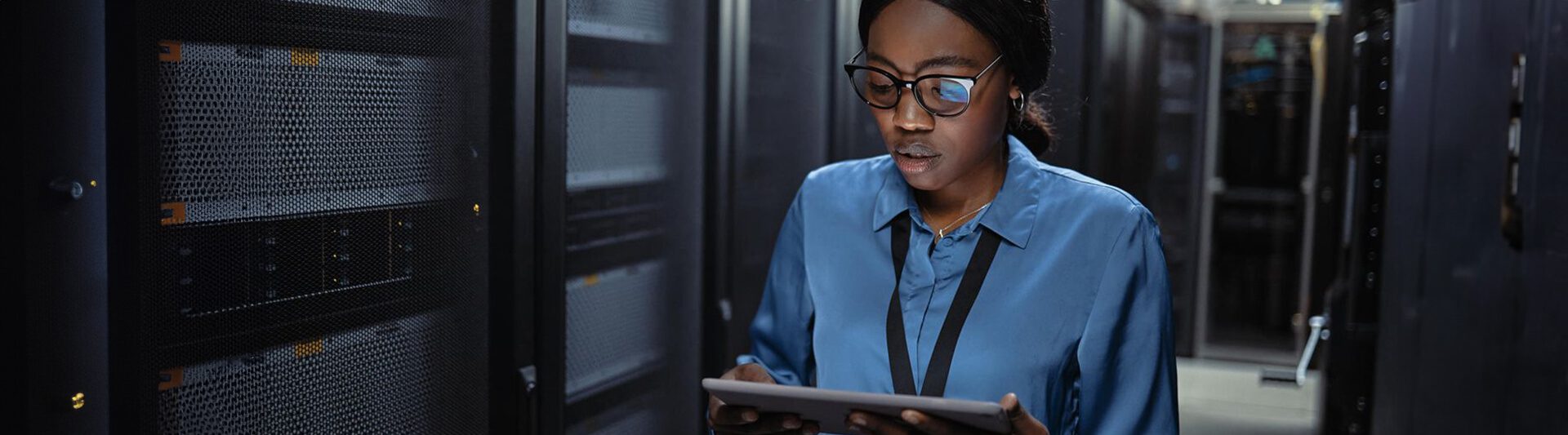 M&A IT Integration Consultancy